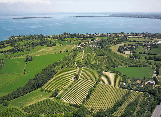 PSR, ROLFI: 160 MILIONI ALLE AZIENDE AGRICOLE LOMBARDE