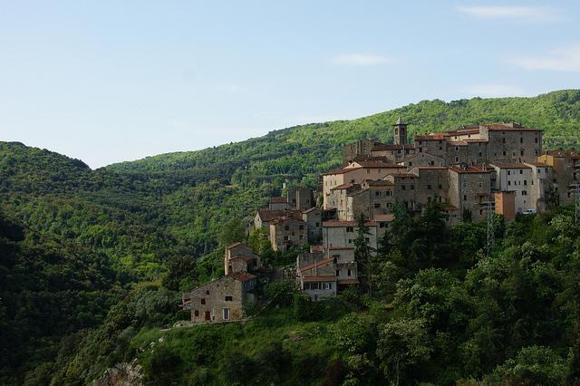 LE NOTTI DEL VERMENTINO DI SUVERETO