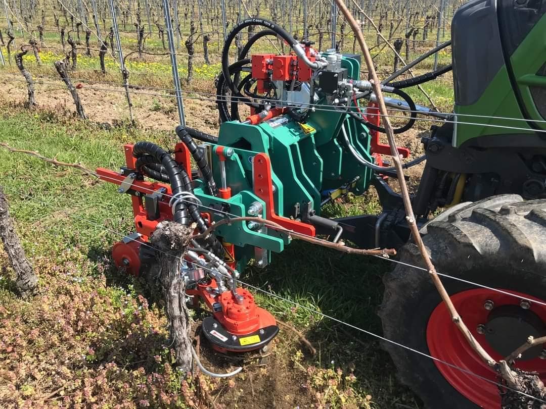 ENOVITIS IN CAMPO 2021