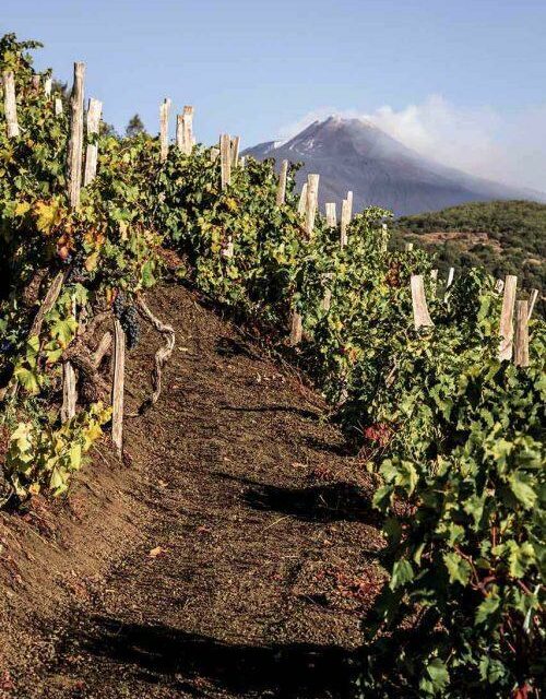 CONSORZIO TUTELA VINI ETNA DOC VERSO LA DOCG