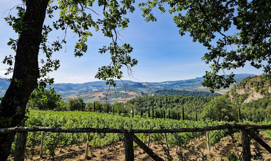 TENUTA SAIANO: LA ROMAGNA CHE NON TI ASPETTI