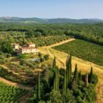 CASTELLO DI BOSSI, LA REALTÀ DI MARCO BACCI IN CONTINUA ESPANSIONE