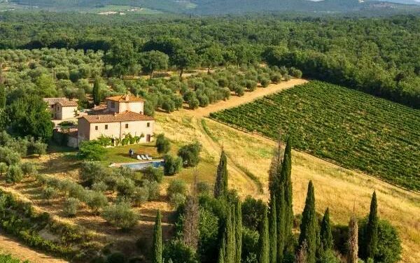 CASTELLO DI BOSSI, LA REALTÀ DI MARCO BACCI IN CONTINUA ESPANSIONE