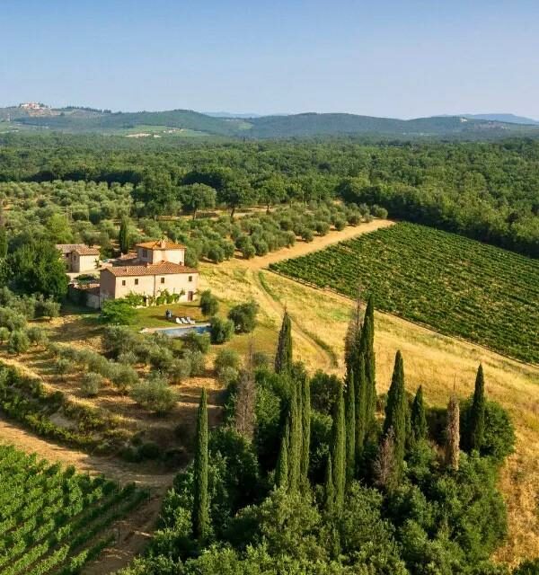 CASTELLO DI BOSSI, LA REALTÀ DI MARCO BACCI IN CONTINUA ESPANSIONE