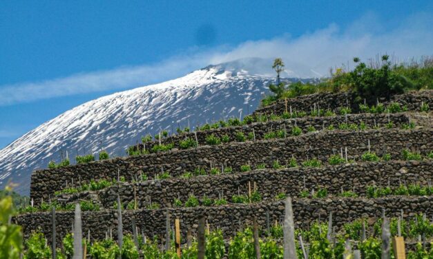 SICILIA EN PRIMEUR 2025: PERCHÉ I VINI SICILIANI STACCANO?