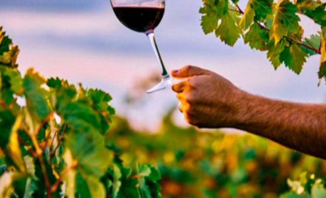 MERCATO DEL VINO IN RECESSIONE NEL 1° TRIMESTRE