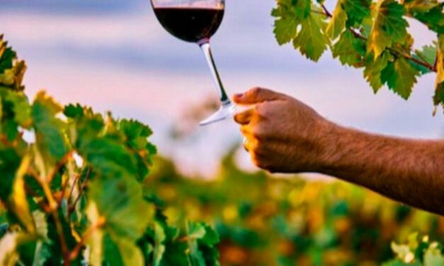 MERCATO DEL VINO IN RECESSIONE NEL 1° TRIMESTRE