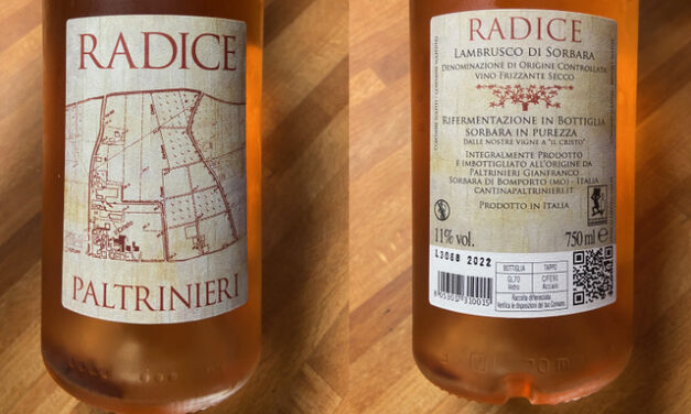 IL VINO DELLA SETTIMANA: LAMBRUSCO DI SORBARA DELL’EMILIA