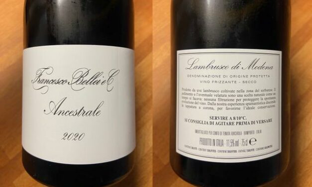 IL VINO DELLA SETTIMANA: LAMBRUSCO DI SORBARA