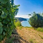 STOP&GO ABRUZZO. EMOZIONI A PEDALI TRA TRABOCCHI, VIGNETI E VENTO SALATO