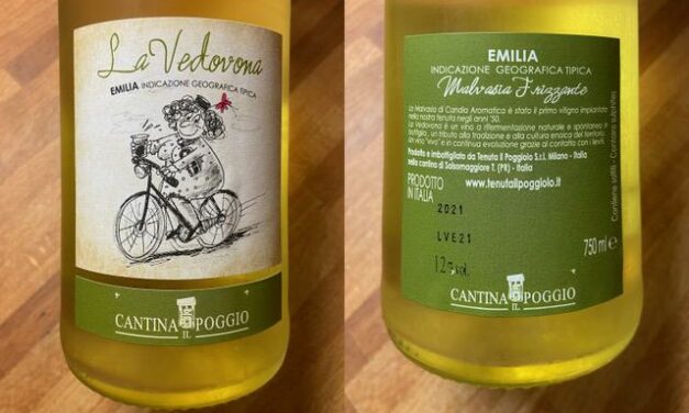 IL VINO DELLA SETTIMANA: MALVASIA FRIZZANTE DELL’EMILIA