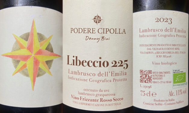 VINO DELLA SETTIMANA: LAMBRUSCO DELL’EMILIA