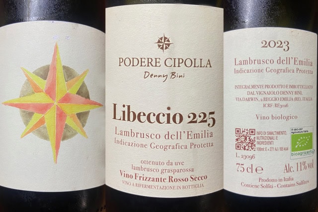 VINO DELLA SETTIMANA: LAMBRUSCO DELL’EMILIA