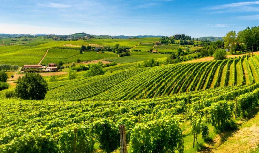 MERCOSUR, L’ACCORDO CHE FA BENE AL MONDO DEL VINO