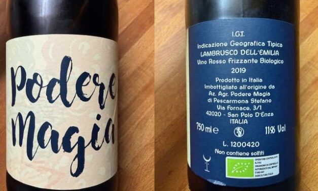 VINO DELLA SETTIMANA: LAMBRUSCO DELL’EMILIA
