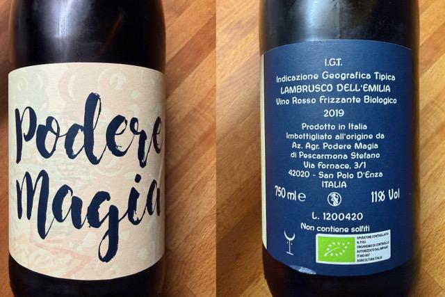 VINO DELLA SETTIMANA: LAMBRUSCO DELL’EMILIA