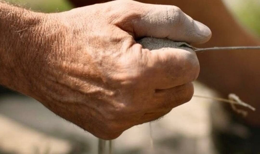 UNA VOCE LIMPIDA DEL NORD-EST: ALBINO ARMANI E LA MONTAGNA DEL VINO
