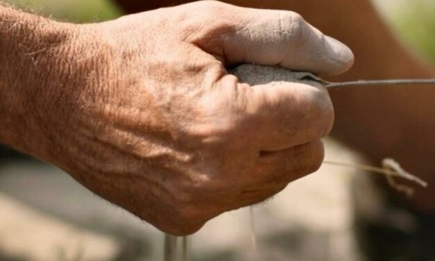 UNA VOCE LIMPIDA DEL NORD-EST: ALBINO ARMANI E LA MONTAGNA DEL VINO