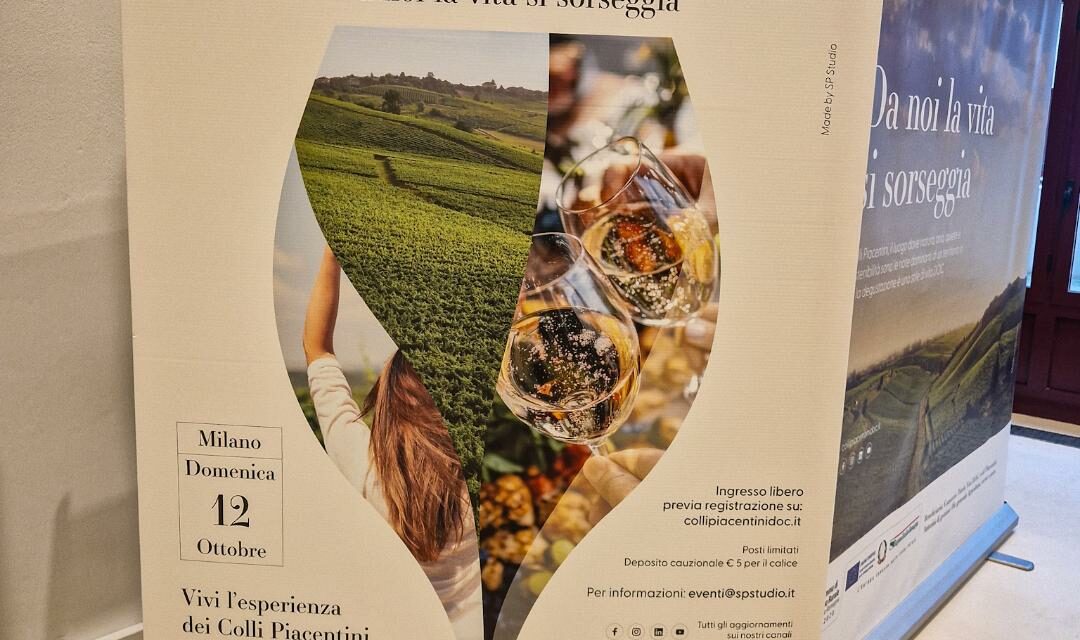 COLLI PIACENTINI: LA MALVASIA FERMA È NUOVA FRONTIERA DEL TERRITORIO?