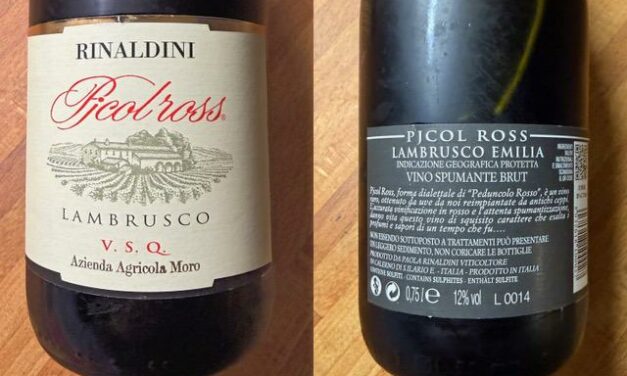 VINO DELLA SETTIMANA: LAMBRUSCO DI REGGIO EMILIA