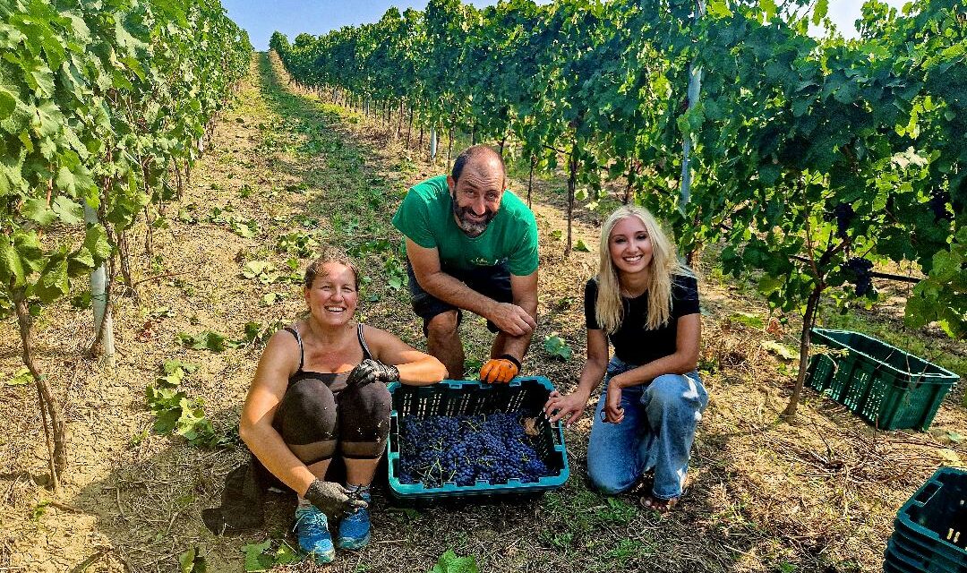 RIMINI RISCRIVE LA MAPPA DEL VINO ITALIANO