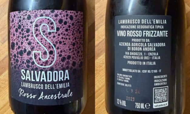 VINO DELLA SETTIMANA: LAMBRUSCO DELL’EMILIA