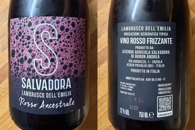 VINO DELLA SETTIMANA: LAMBRUSCO DELL'EMILIA