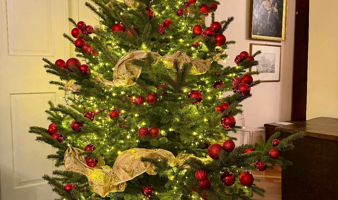 VINO DELLA SETTIMANA, SPECIALE NATALE 2025