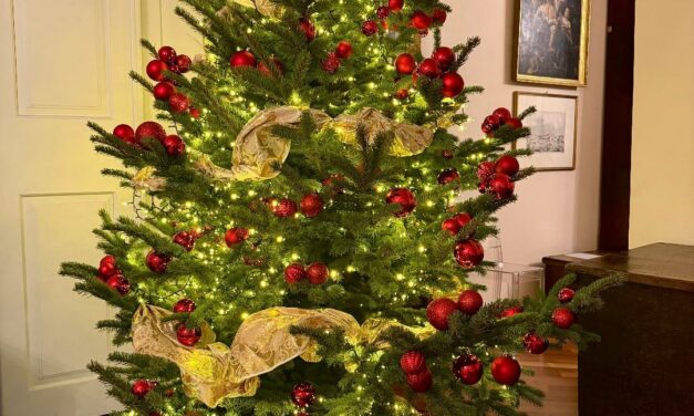 VINO DELLA SETTIMANA, SPECIALE NATALE 2025