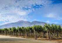 MERCOSUR: PERCHÉ PER IL VINO ITALIANO L’ACCORDO È UNA CHANCE