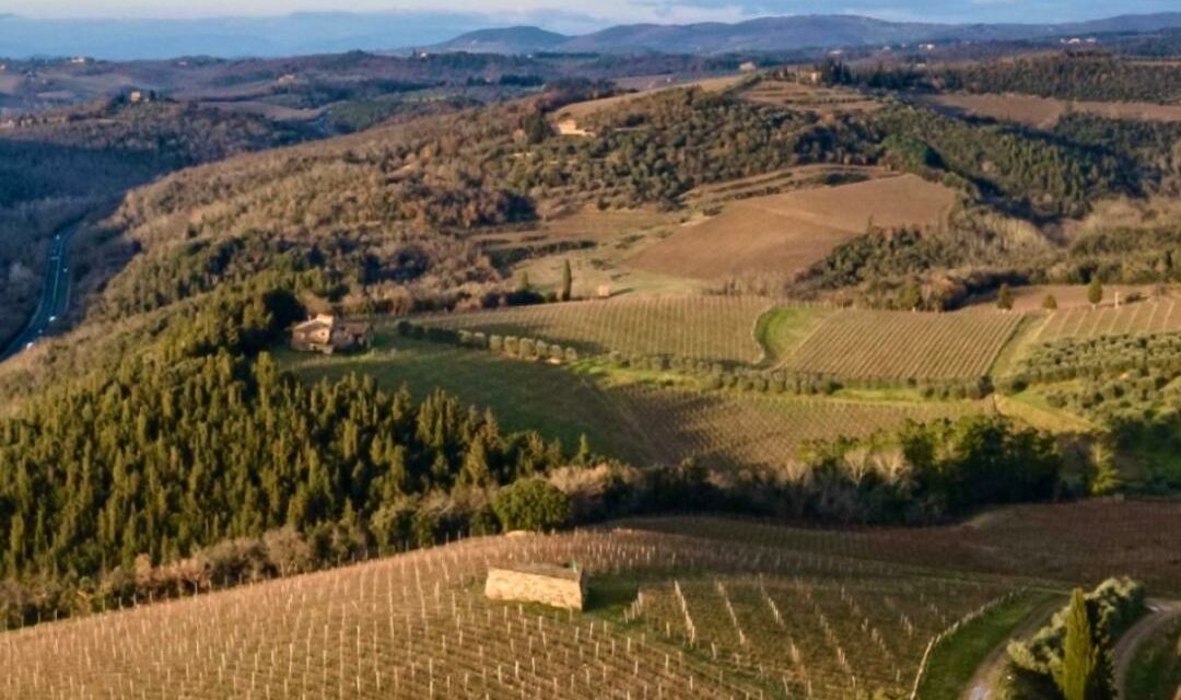 ANTEPRIME TOSCANE 2026: LO SGUARDO INTERNAZIONALE SUL VINO