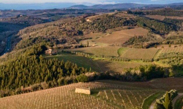 ANTEPRIME TOSCANE 2026: LO SGUARDO INTERNAZIONALE SUL VINO