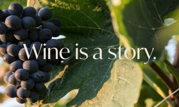 VALENTINO SCIOTTI, FANTINI: IL MERCATO CAMBIA, MA VINCE CHI RESTA VICINO AI CONSUMATORI