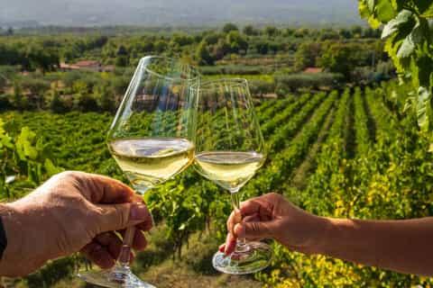 25 APRILE, CRESCE L'ENOTURISMO: IL VINO E IL SUO TERRITORIO GUIDANO IL RITORNO ALLE GITE DI PROSSIMITÀ