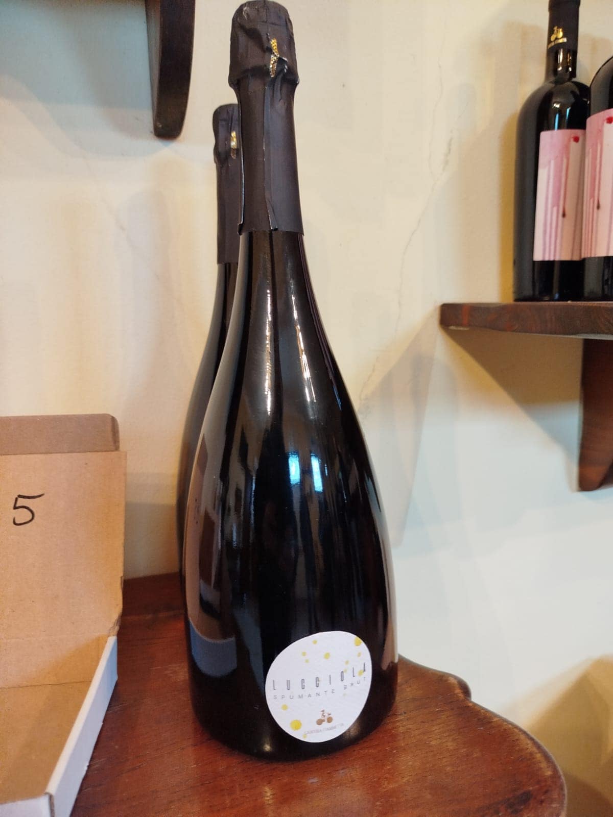 WhatsApp Image 2026-03-09 at 12.33.30 (1)