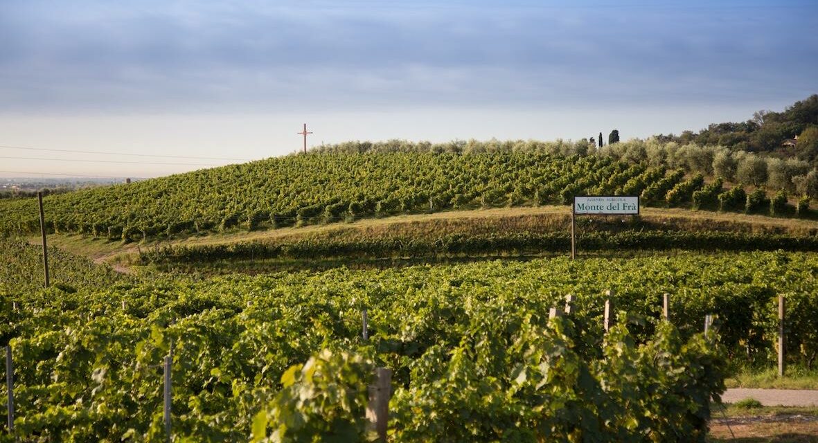 A VINITALY DEBUTTA IL CUSTOZA DI MONTE DEL FRÀ CHE SFIDA IL TEMPO