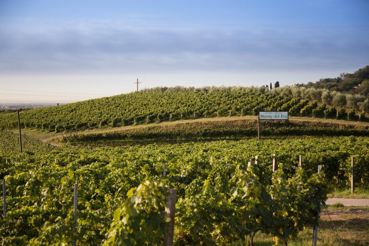 A VINITALY DEBUTTA IL CUSTOZA DI MONTE DEL FRÀ CHE SFIDA IL TEMPO