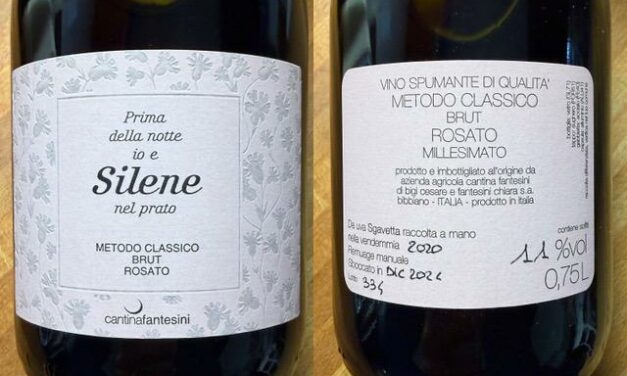 VINO DELLA SETTIMANA: METODO CLASSICO DA UVE SGAVETTA