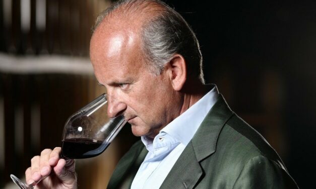 VINO ITALIANO, REPORT MEDIOBANCA 2026: CALANO VENDITE, REDDITIVITÀ E PREZZI DELLO SFUSO