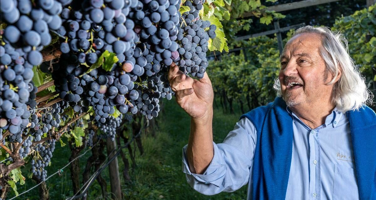Pojer e Sandri, un nuovo capitolo nel segno della continuità e dell’eccellenza