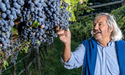 Pojer e Sandri, un nuovo capitolo nel segno della continuità e dell’eccellenza