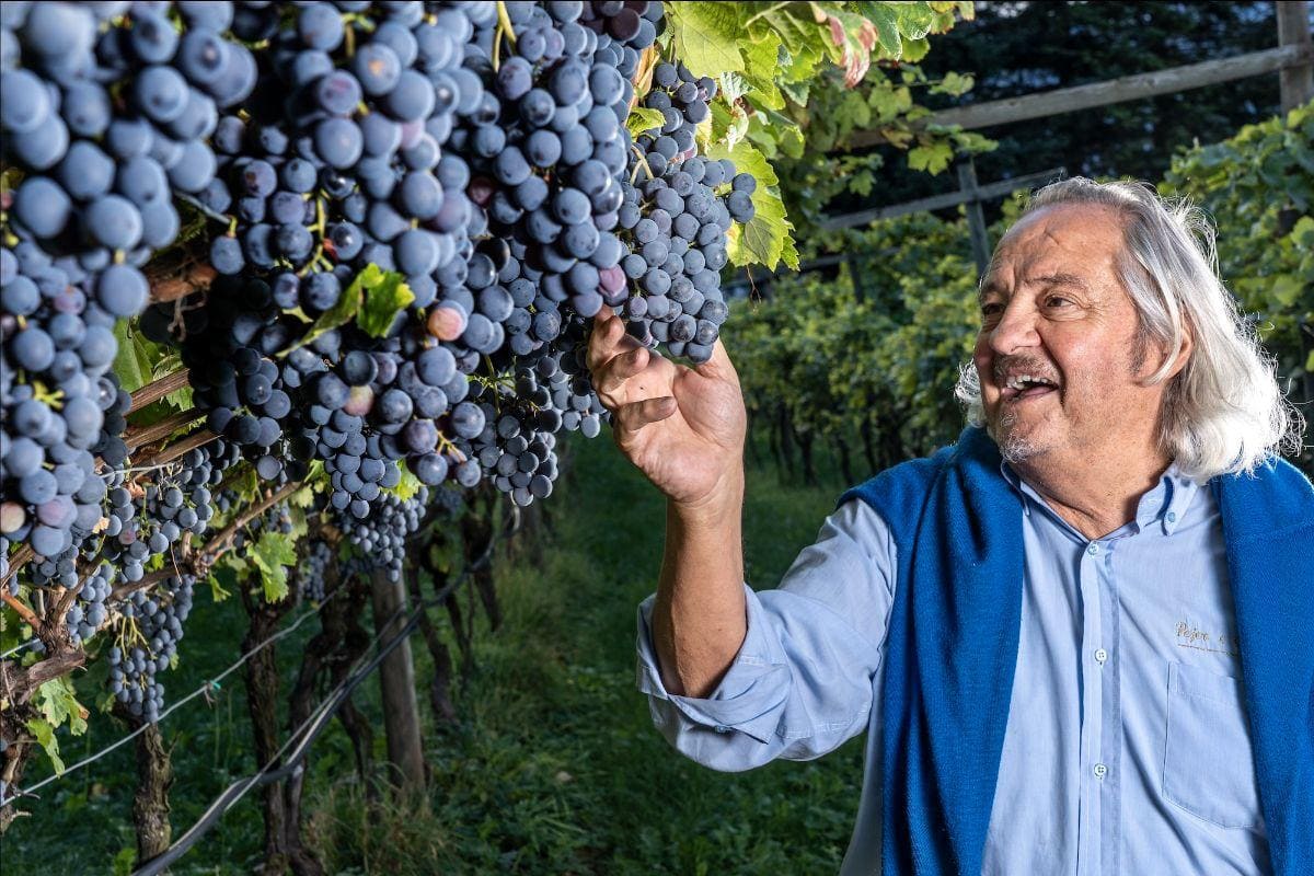 Pojer e Sandri, un nuovo capitolo nel segno della continuità e dell’eccellenza