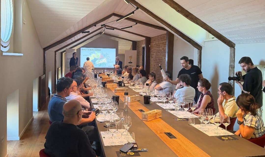 CANELLI DOCG, IL MOSCATO BIANCO CHE GUARDA AL FUTURO