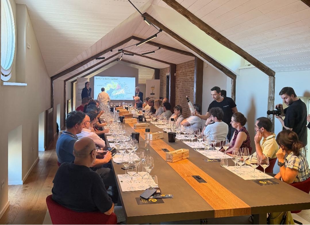 CANELLI DOCG, IL MOSCATO BIANCO CHE GUARDA AL FUTURO