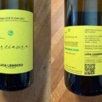 VINO DELLA SETTIMANA: ERBALUCE DI CALUSO