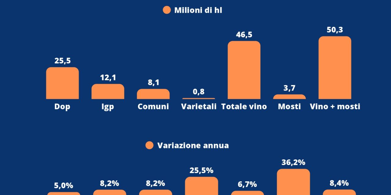 VINO, L’ALLARME DELLE GIACENZE: CANTINE PIENE E PREZZI IN DISCESA. UIV CHIEDE SCELTE URGENTI