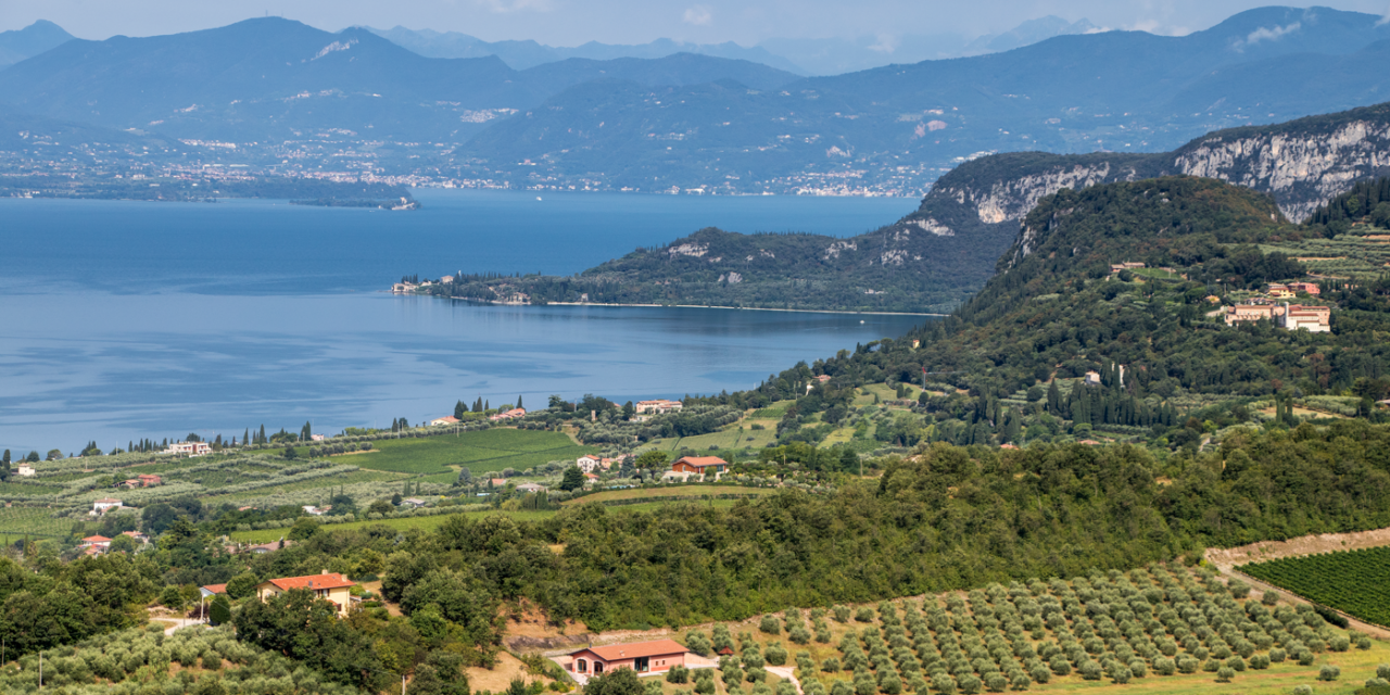 VENDEMMIA BARDOLINO 2026, UVE SANE NEL SEGNO DEL CENTENARIO DEL CONSORZIO