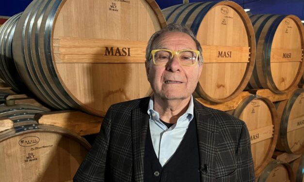 BOSCAINI: SE I DISCIPLINARI NON RACCONTANO PIÙ IL VINO CHE BEVIAMO
